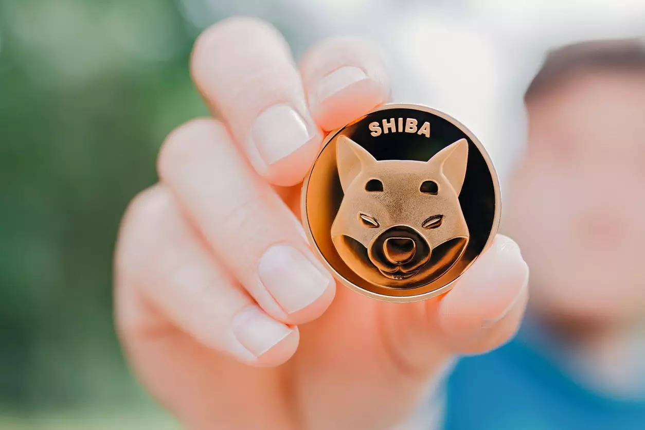 Shiba Inu and US Government Transfer