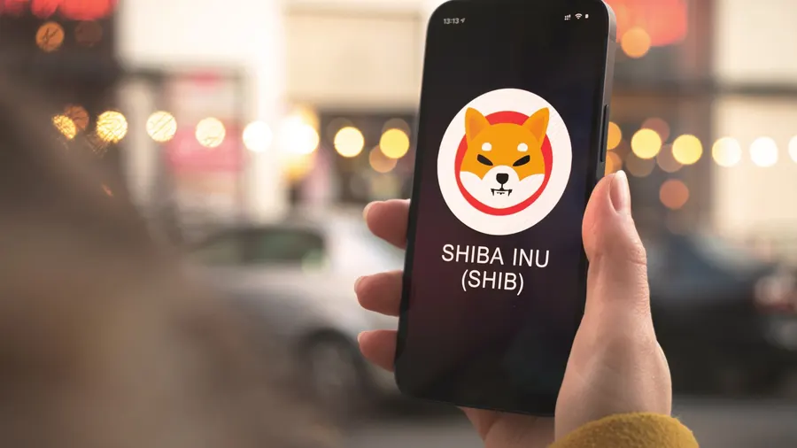 Shiba Inu and US Government Transfer 