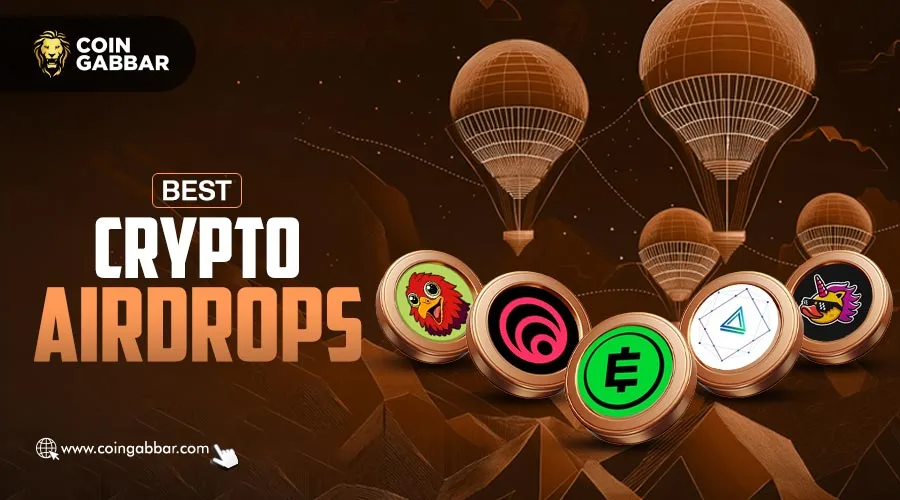 Bonk Coin Airdrops
